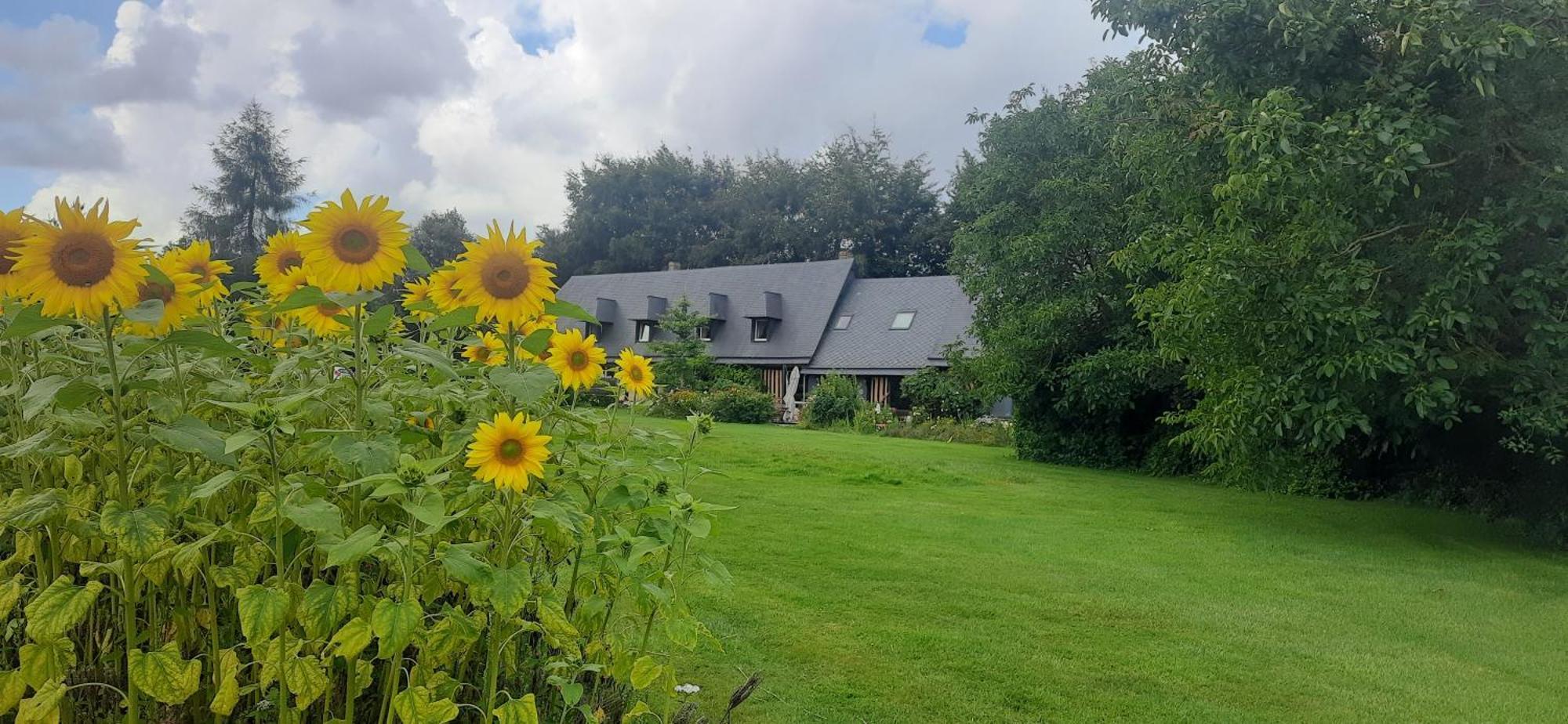 Le Lit De La Saane Bed & Breakfast Auzouville-sur-Saâne Eksteriør bilde